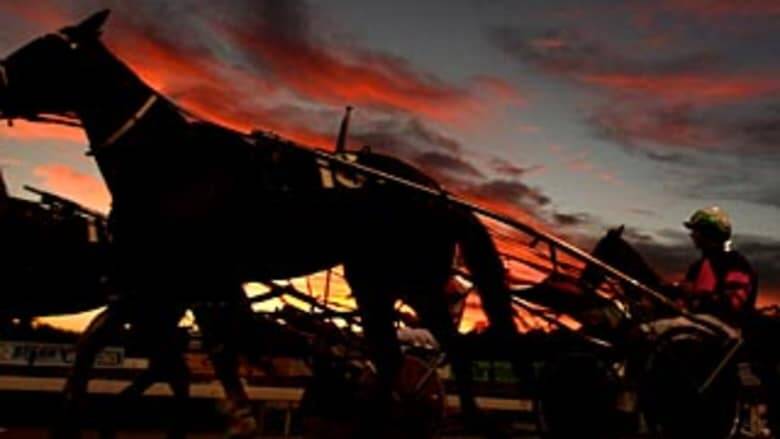 The cheating scandal around the harness racing industry continues. Photo: Steven Siewert