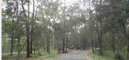 RECRUITING: Members are needed to join Redlands Bushwalkers club.