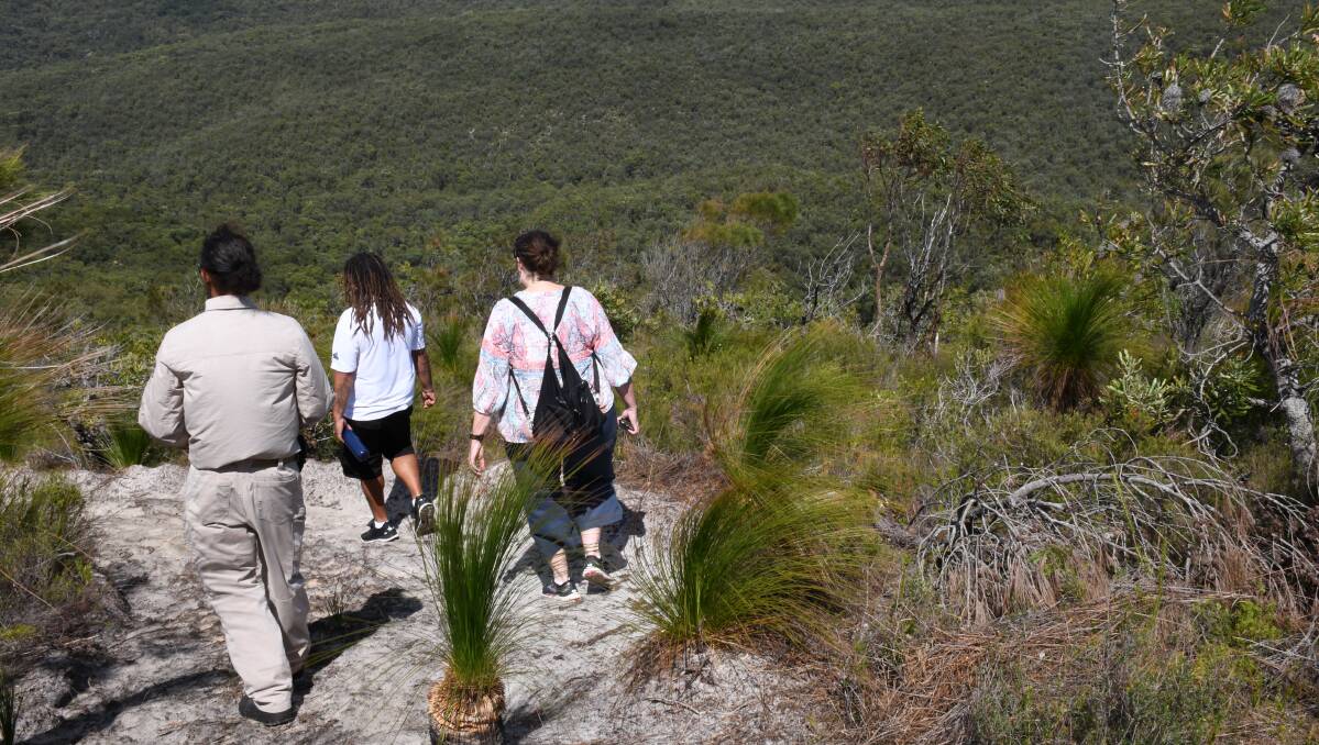 SCENIC HORIZONS: A 2.2-kilometre track to Mount Vale's summit has opened. Photo: Supplied