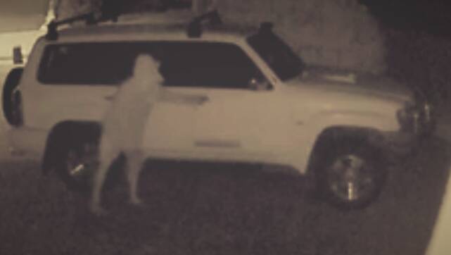 A person, caught on CCTV, tried to open a this car's door at Mount Cotton last week. Photo: Queensland Police Service