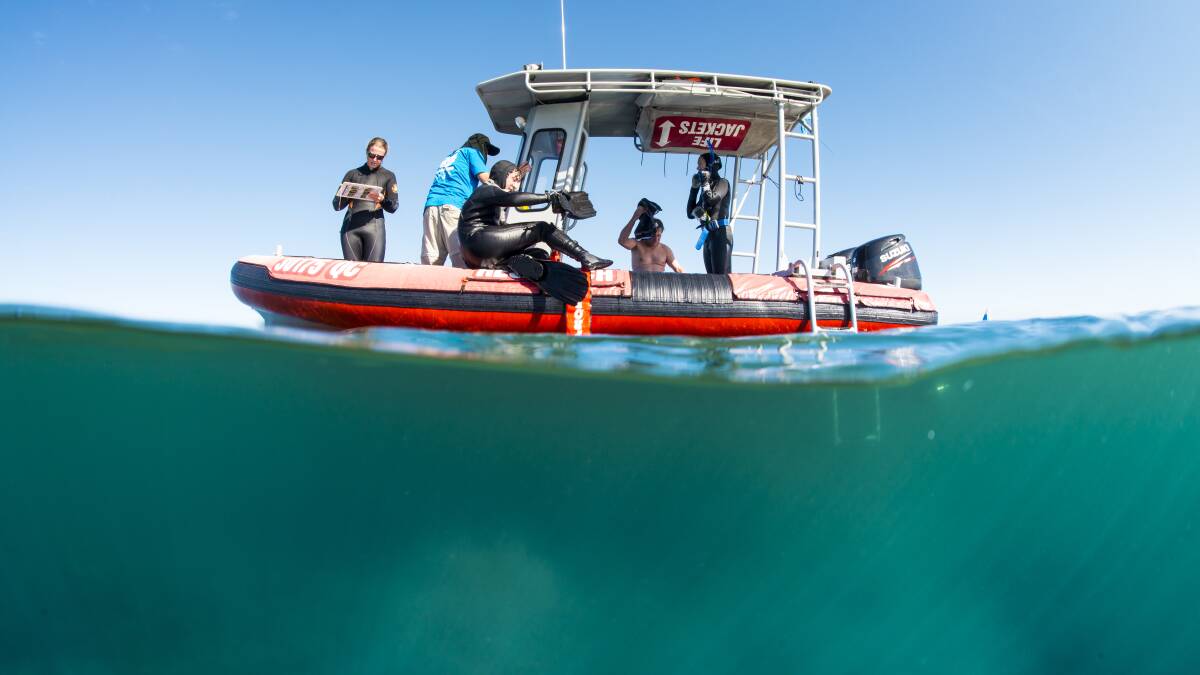 DATA COLLECTION: A research crew pictured out on Moreton Bay. Photo: Supplied