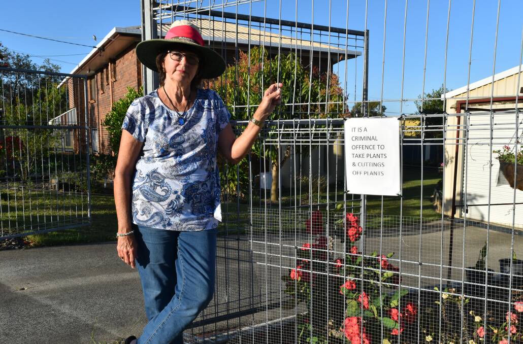 BLOOMING 'ELL: Les Cunningham stands outside a neighbour's home, which has also been targeted. Mesh wire has been put up along the fence to stop people from reaching in to cut branches off. Photo: Hannah Baker