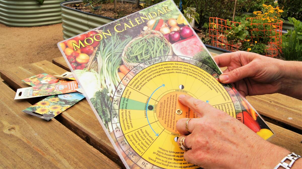 Learn to plant using moon calendar