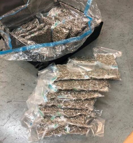 Police allegedly seized 25-kilograms of cannabis and $149,000 cash from an Alexandra Hills address last week. Photo: Queensland Police Service