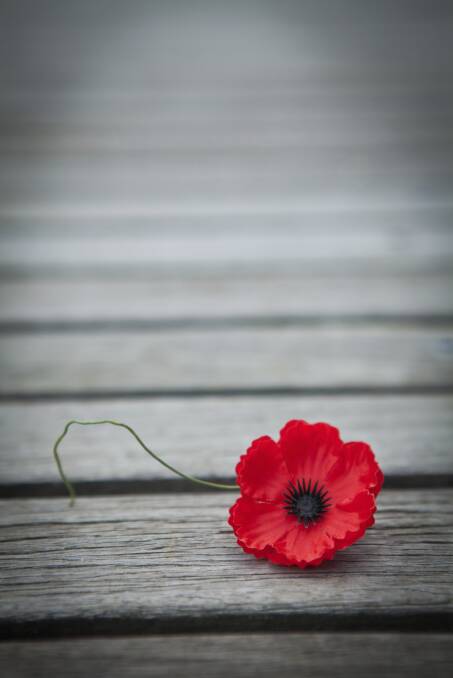 LEST WE FORGET: Six services marking the end of WWI a century ago, on the 11th hour, of the 11th day of the 11th month in 1918, will be held across the Redlands on Sunday, November 11.