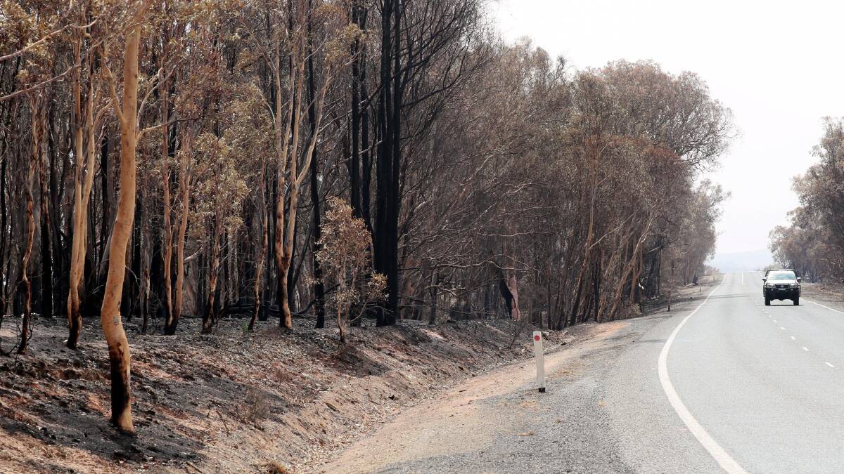 Bushfires devastated the Snowy Valleys area in January.