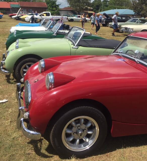 CARS: An impressive number of cars were on display for the vintage car rally at Ormiston State School on January 26.