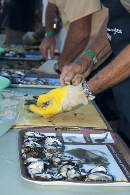 OYSTER: Oyster shucking is part of the fun of the annual Oyster Festival