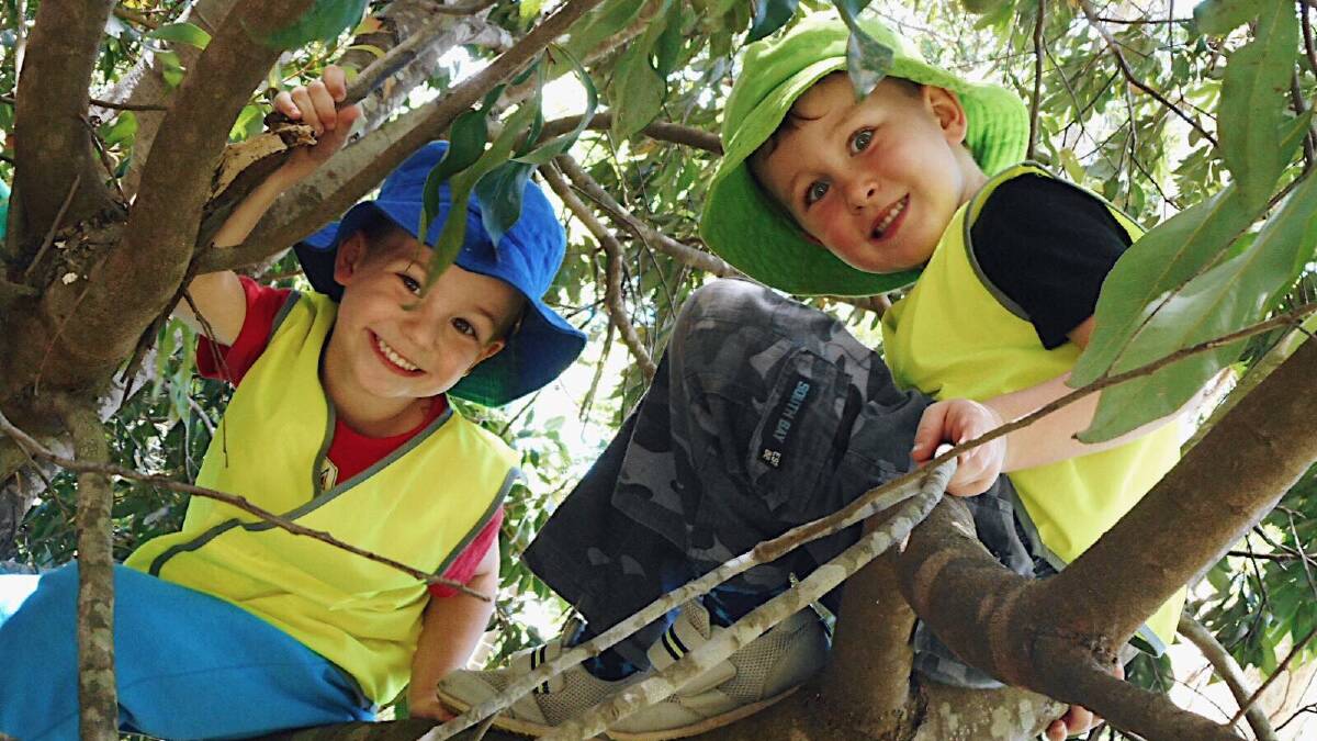 PLAYING OUTSIDE: There is nothing like climbing a tree according to Braxton Fulton and Abel Elvy.