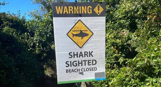 Beaches across Port Macquarie remained closed today (August 17) due to an increase in shark activity. Photo: Port Macquarie ALS Lifeguards.