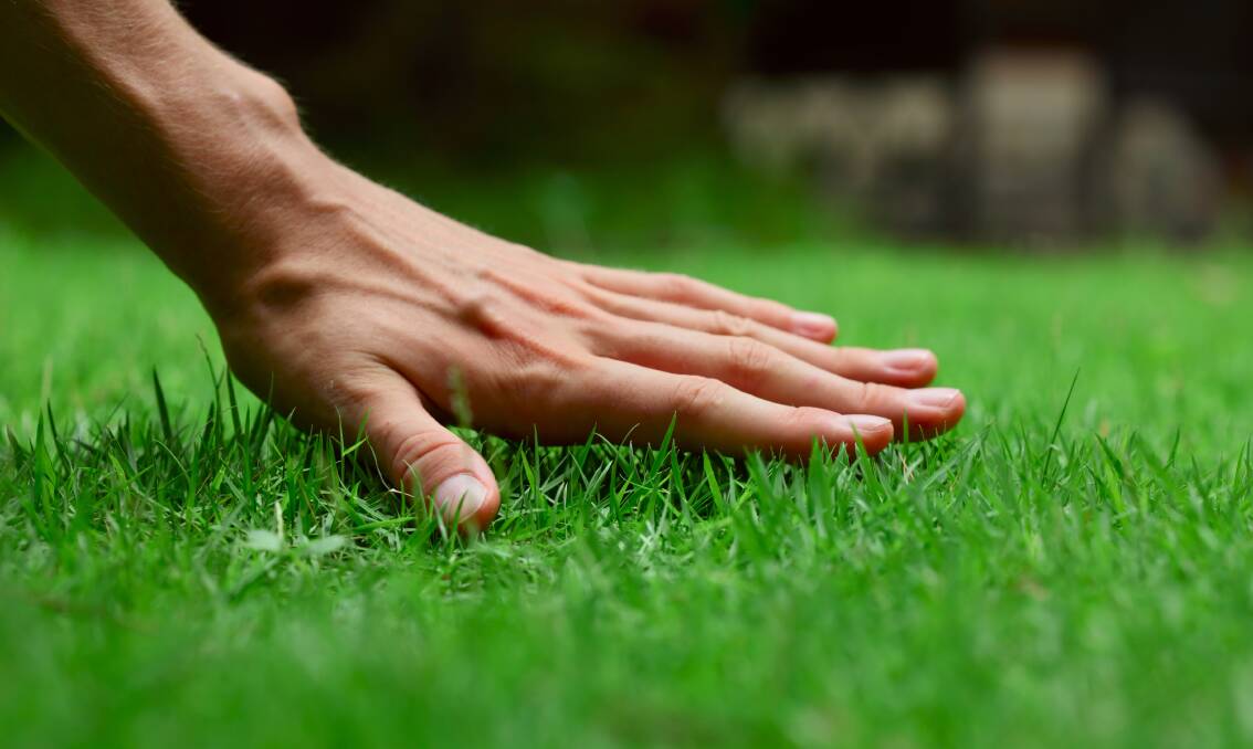 Grass is always greener: The summer heat may be gone, but it's still vital to water and fertilise your lawn to ensure it stays green and healthy. Photo: Shutterstock.
