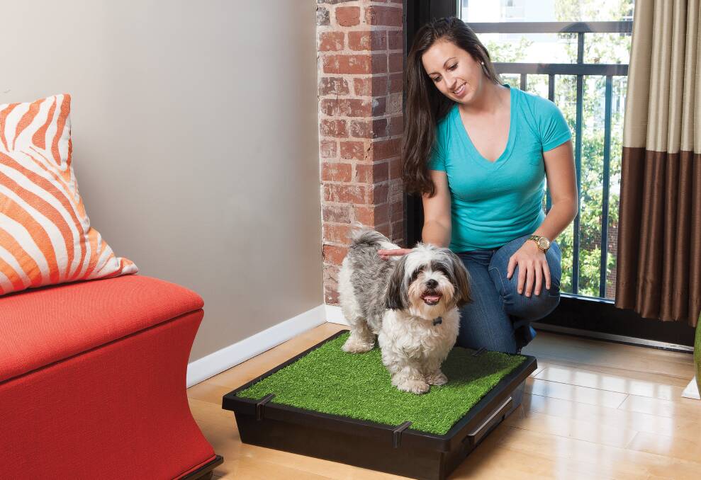 The Pet Loo absorbs and eliminates odours ensuring you won't have any of the smell in your home. Picture: Supplied 