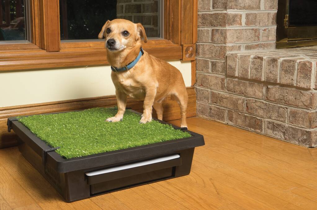 The Pet Loo is available in three sizes to suit all dog breeds.