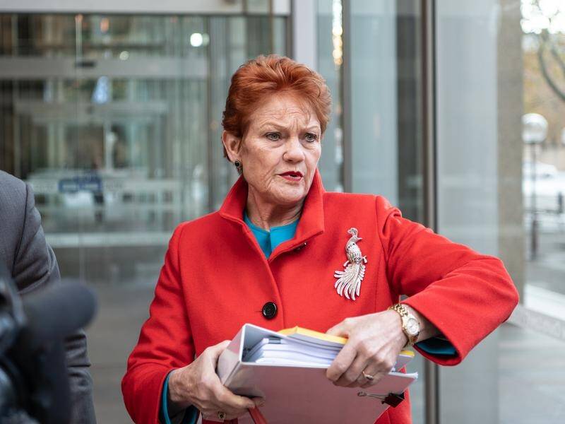 Pauline Hanson has been ordered to pay $250,000 in damages after defaming Brian Burston. (Flavio Brancaleone/AAP PHOTOS)