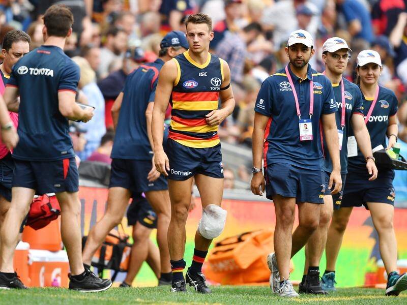 Adelaide defender Tom Doedee will miss the rest of the AFL season because of a knee injury.
