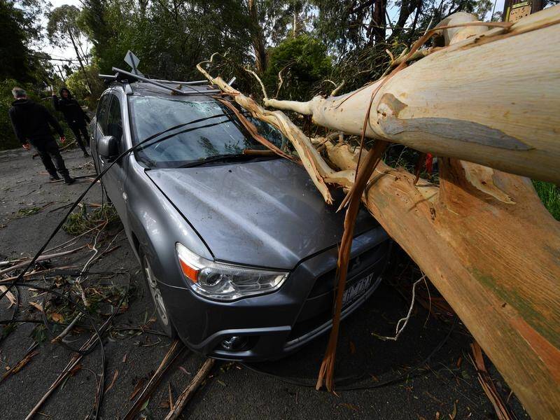 A devastating storm that hit Melbourne killed three people including a four-year-old boy..