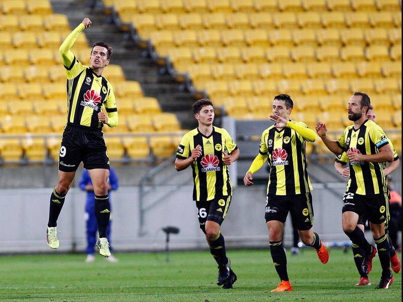 Wellington owners are considering selling half of the A-League club to a Sydney expansion bid group.