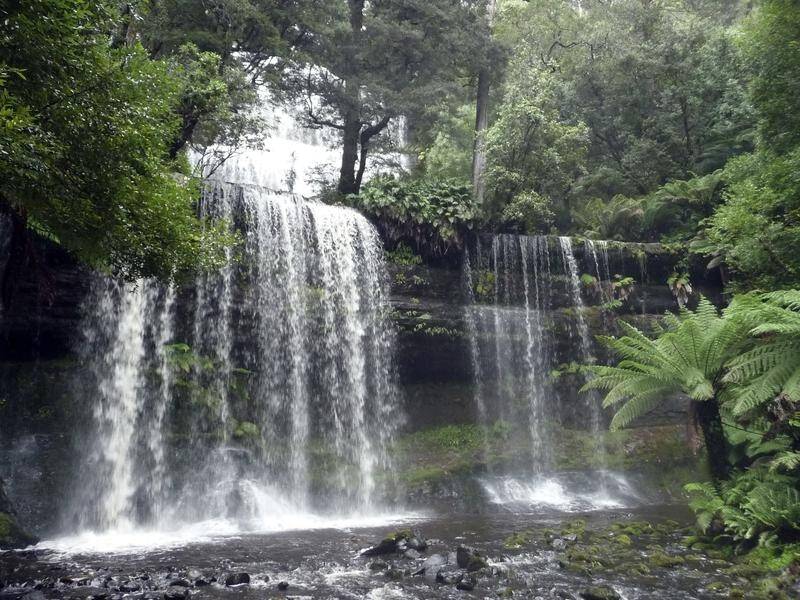 Tasmania's national parks have reopened but only for hiking by local people and in limited numbers.