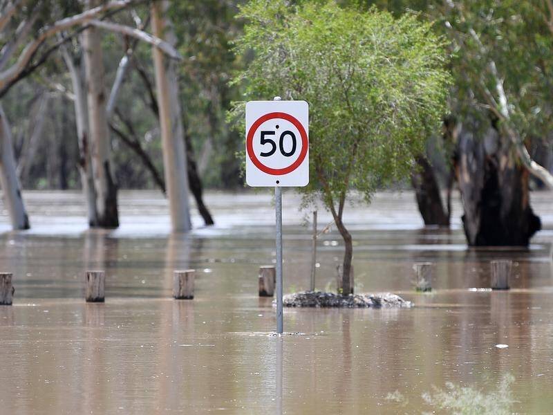Qld's opposition says insurance companies should recognise the saving from flood mitigation works.