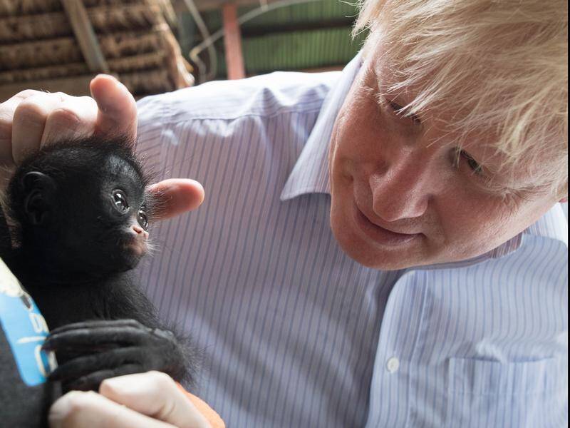 Boris Johnson should challenge Theresa May now, says former Donald Trump adviser Steve Bannon.