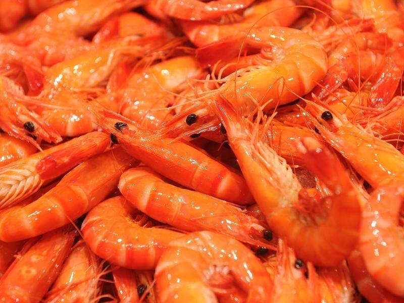 Commercial fishers want compensation over the White Spot outbreak that has hit Qld's prawn industry.