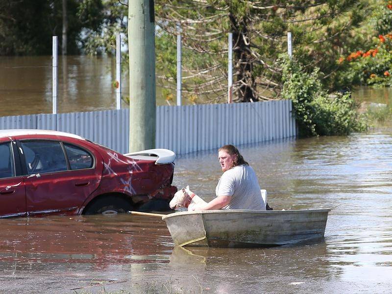 The SES has reported more than 10,000 requests for help as Queenslanders battle the floods.