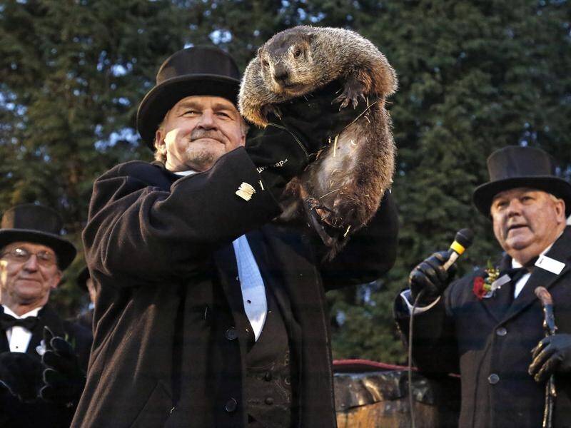 Punxsutawney Phil, the US' most famous groundhog, has predicted winter will last another six weeks.