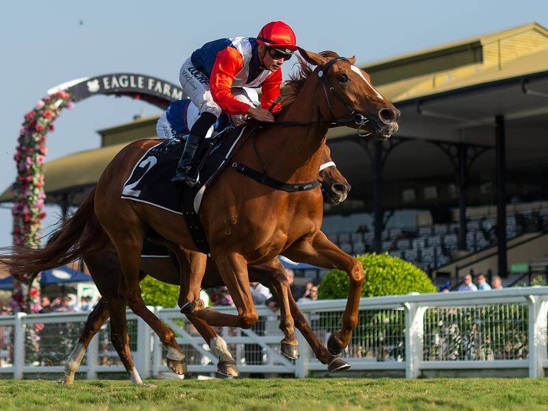 Queensland Horse of the Year, Oaks winner Winning Ways, will be served in Europe.