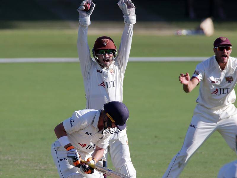 Victoria's Test batsman Marcus Harris was caught behind for 95 against Queensland.