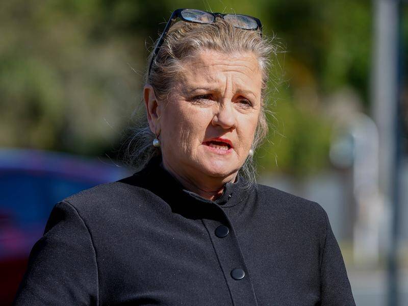 Redland Mayor Karen Williams has been sentenced to community service after admitting drink-driving. (Russell Freeman/AAP PHOTOS)