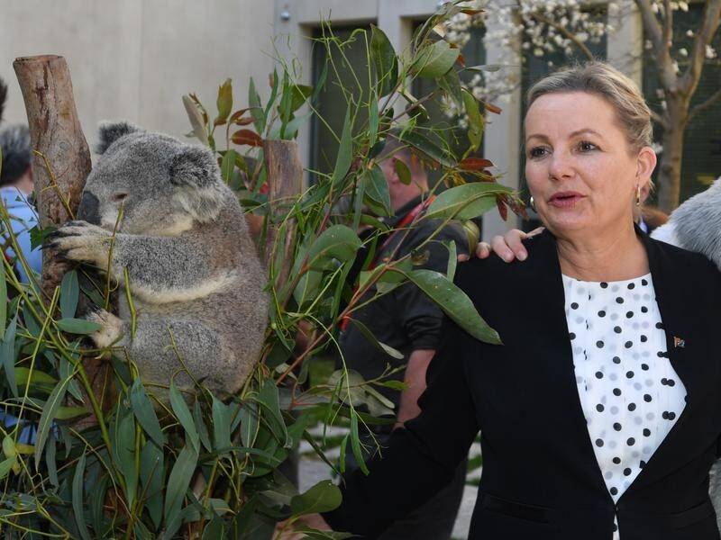 Environment Minister Sussan Ley has flagged funding to help Australia's protected marine areas.