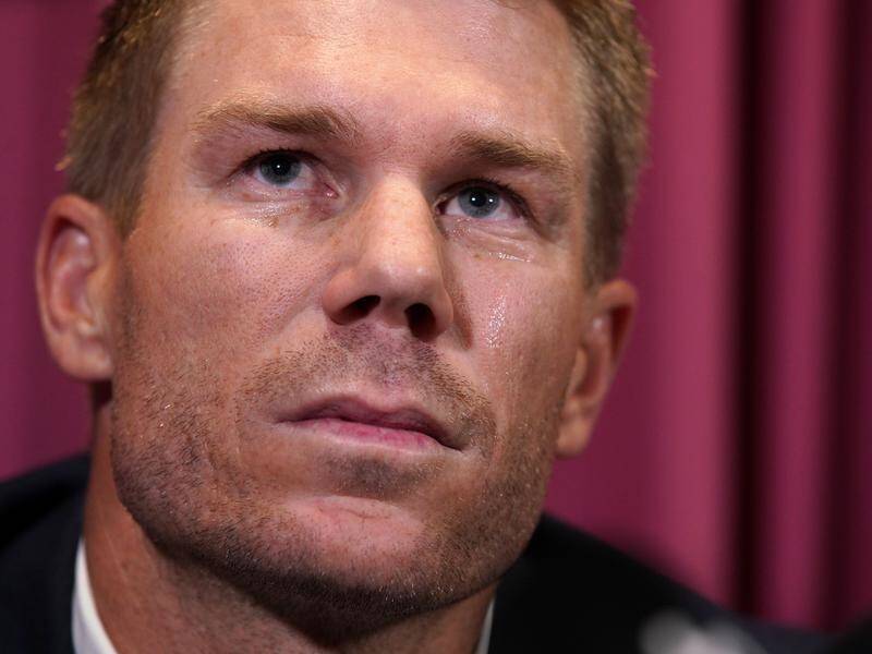 Cricket Australia hopes for a swift resolution to David Warner's case after his teammates' bans.