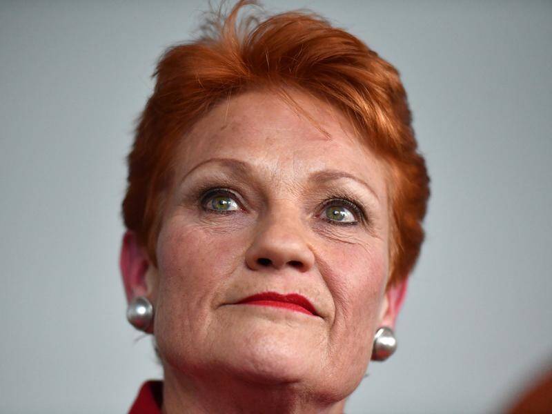 Pauline Hanson says she doesn't want to "just throw anyone in" for the next federal election.
