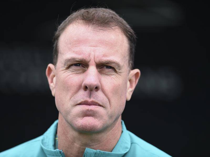 Alen Stajcic has landed his first job as an A-League coach with Central Coast.