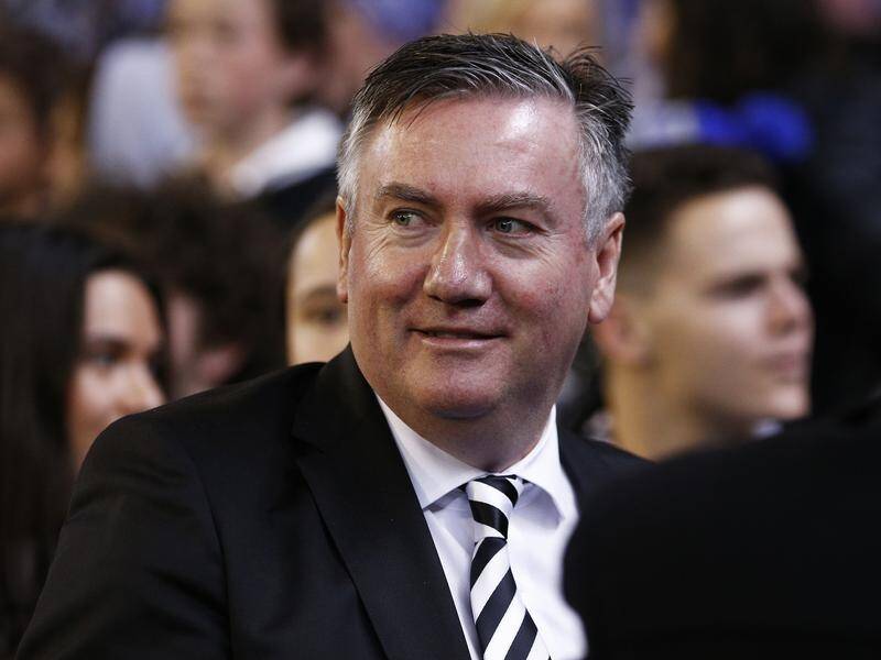 Collingwood's Eddie McGuire has expressed concern for the future of AFL amid the COVID-19 shutdown.