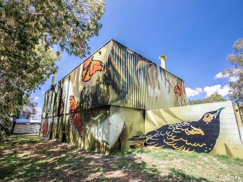 Gold Coast artist Loretta Lizzio's Regent Honeyeater and Monarch Butterfly artwork at Runaway Bay.