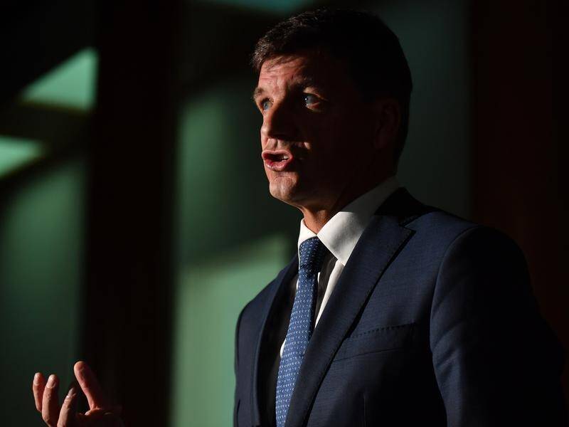 Energy minister Angus Taylor has raised concerns over Labor's new carbon emission targets.
