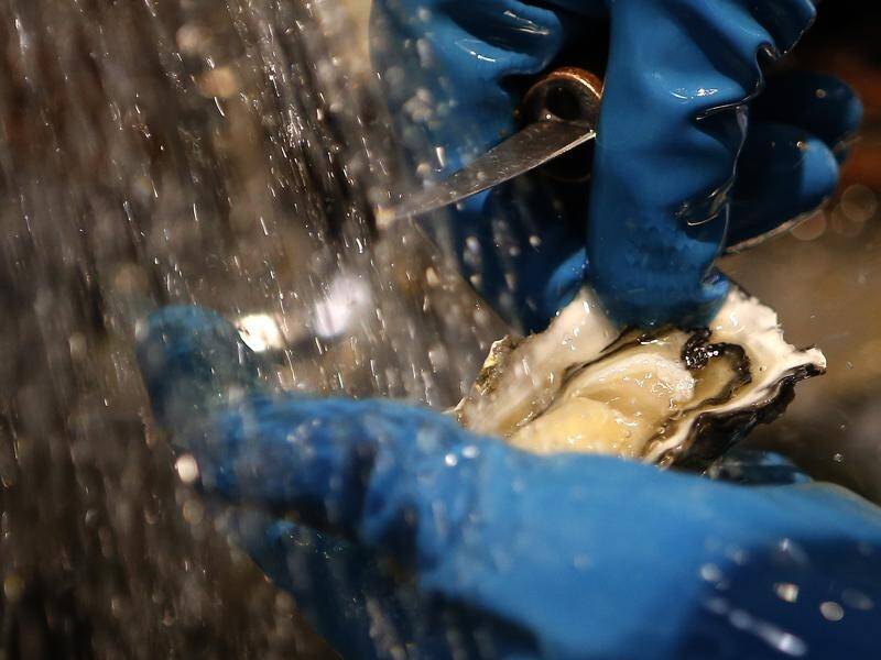 Police are cracking down on oyster theft and it's not just the lost income that has farmers worried.