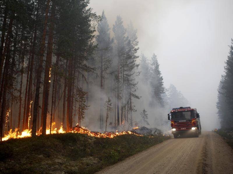 Sweden is battling 80 wildfires, the result of soaring temperatures and low rainfall.