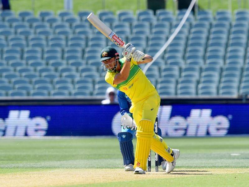 Marcus Stoinis has been lavished with praise by Virat Kohli and Aaron Finch.