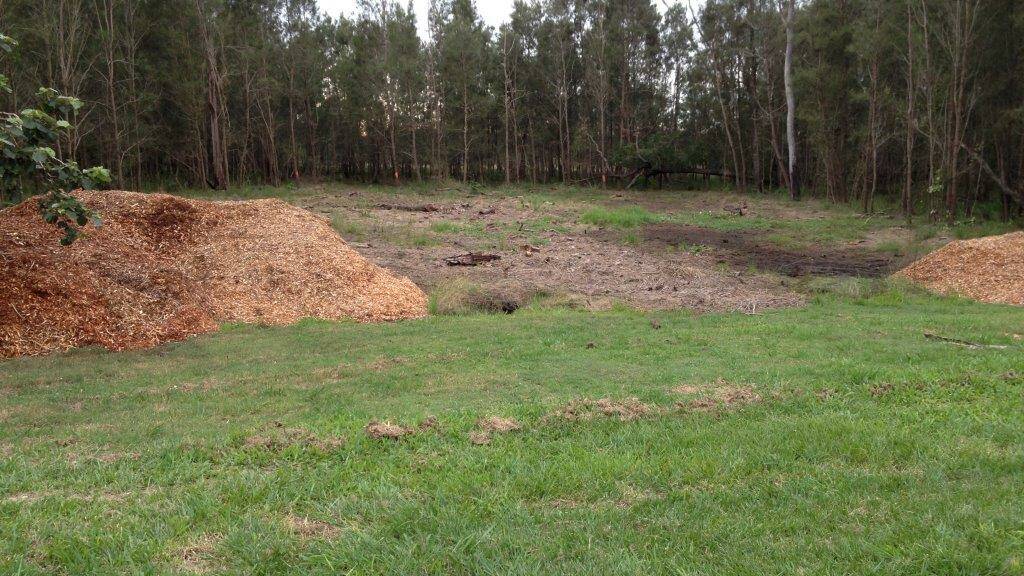 UPDATED: Council guilty of illegal tree clearing 