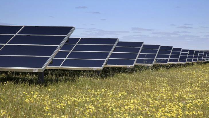 Redland looks into solar farms 