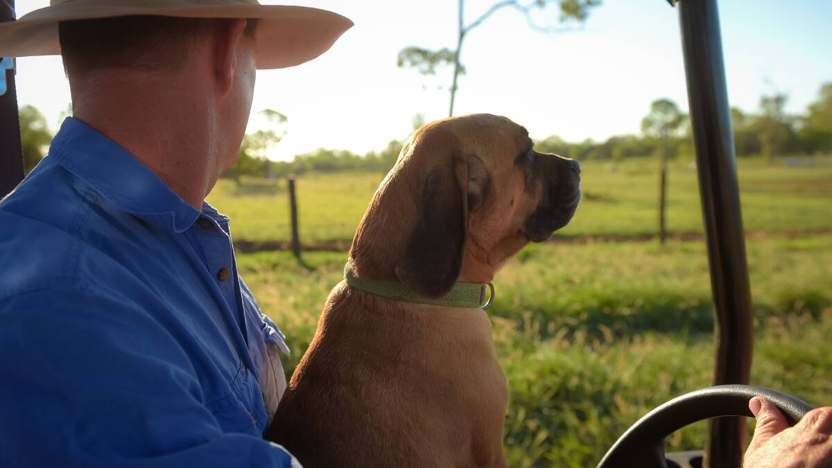 Brett and Dudley head out to check cattle. Photo - Kelly Butterworth. 