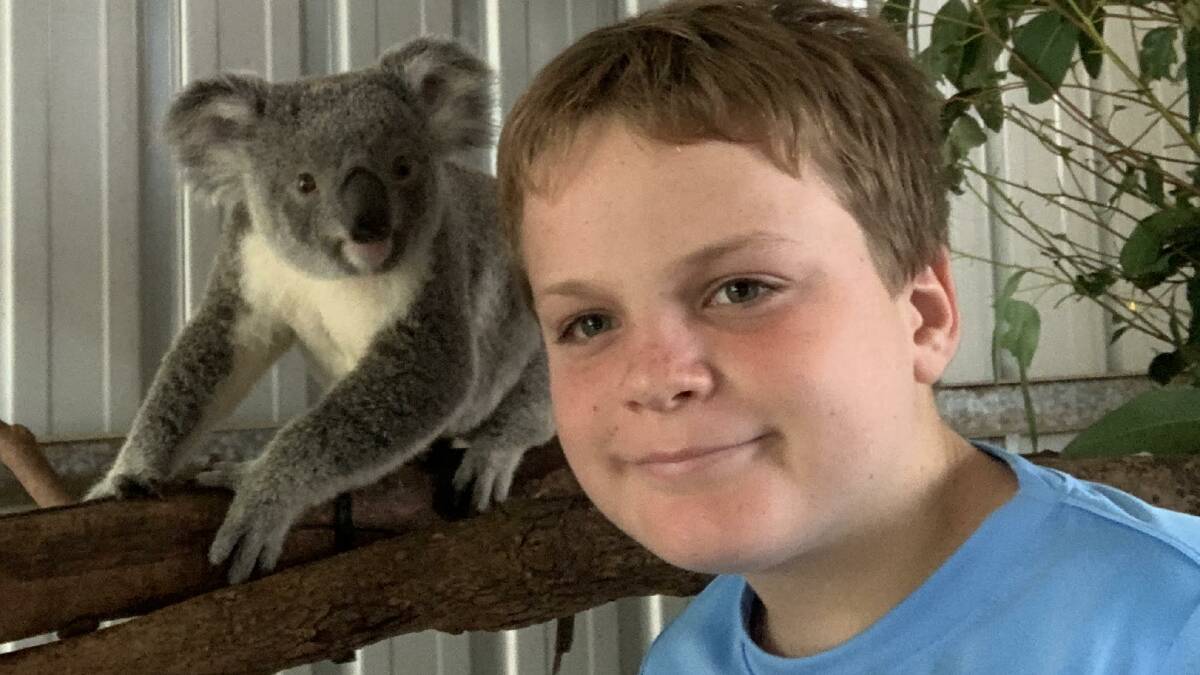 Passionate about koalas: Rohan Davis.