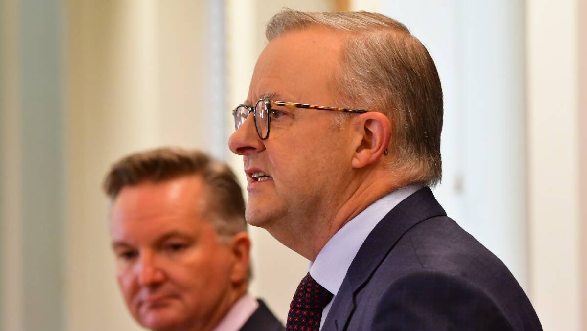Labor leader Anthony Albanese and climate and energy spokesman Chris Bowen unveiled the party's 