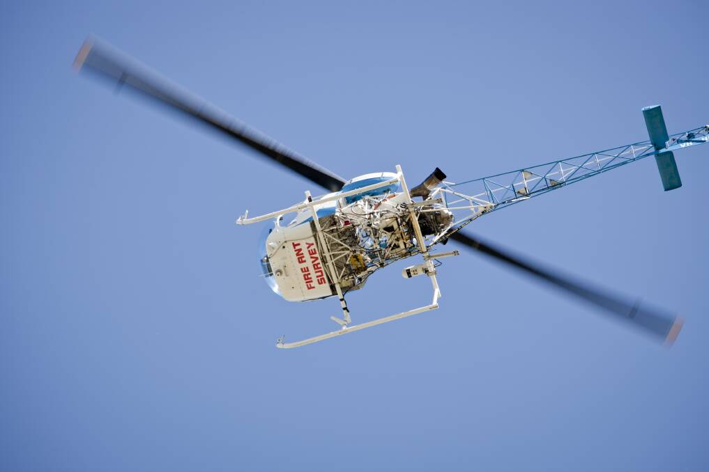 EYE IN THE SKY: Two helicopters have been surveying Redland city suburbs on the hunt for fire ants.