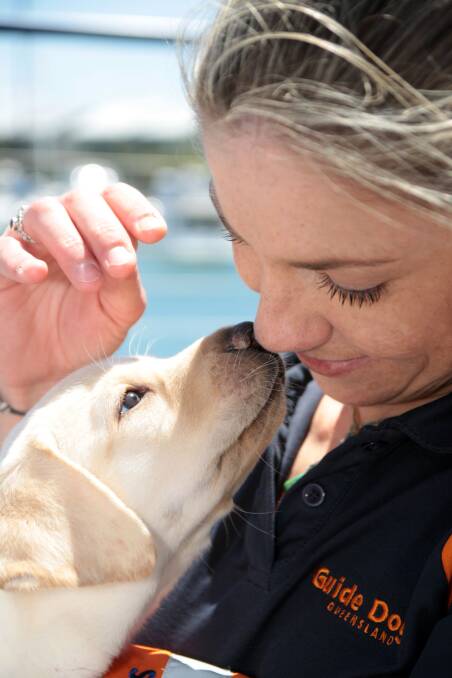Guide Dogs Queensland are calling on 40 families to become Guide Dog carers after a spring influx of 40 puppies. Guide Dogs Queensland senior breeding attendant Renee Nalder is encouraging Redland families to volunteer. Photo by Chris McCormack