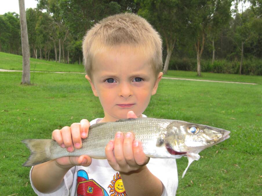 Max McPhee with a solid whiting caught at Jumpinpin.