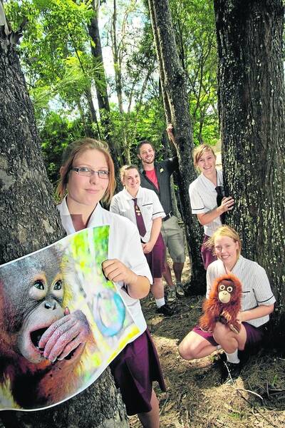 Helping to protect orang-utans from the effects of illegal deforestation in Borneo is Cleveland District State High School student Georgia Taylor, Year 11, front, with fellow students, from left, Olivia Hill, Year 12, Stef Wilkinson, Year 11, Tayla Cox, Year 11, and science teacher Chris Gauthier.Photo by Chris McCormack