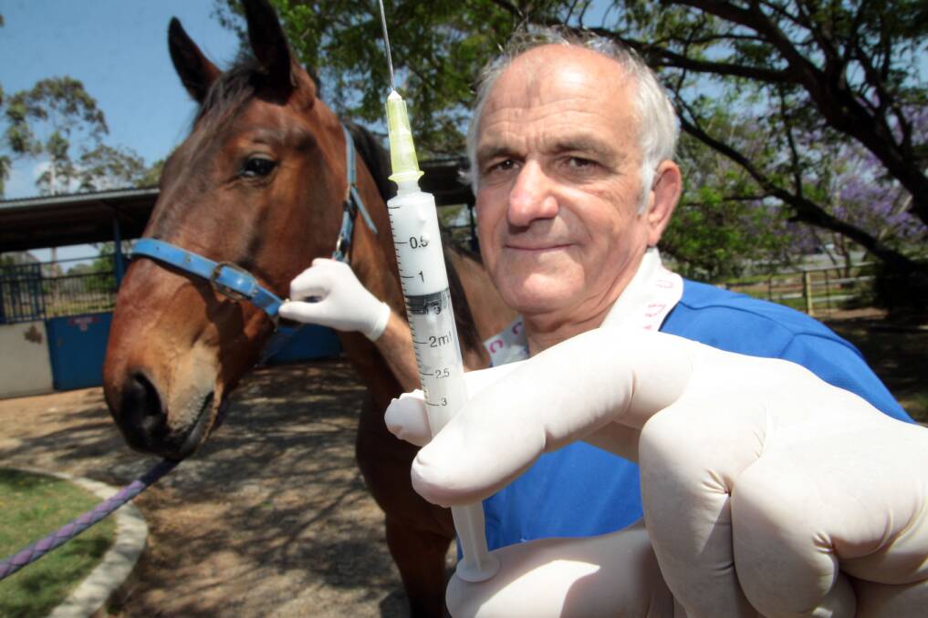 Fighting against Hendra virus  David Lovell from Redlands Veterinary Clinic is urging horse owners to vaccinate their horses with the Hendra virus vaccine. Photo by Chris McCormack